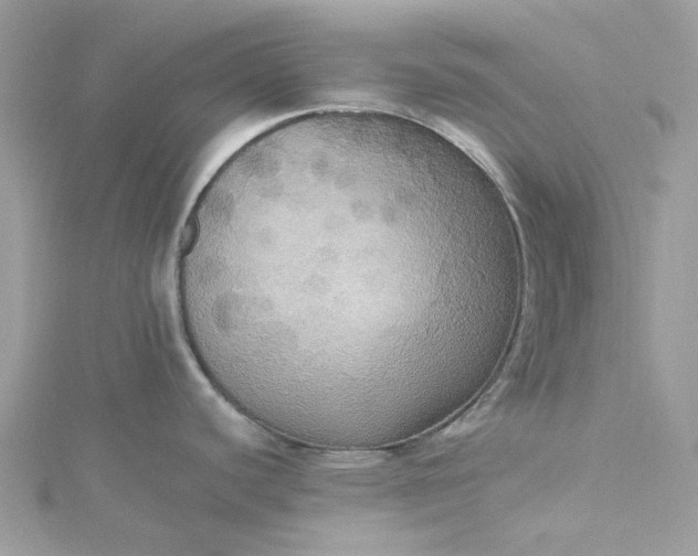 X0000115391440200911171447