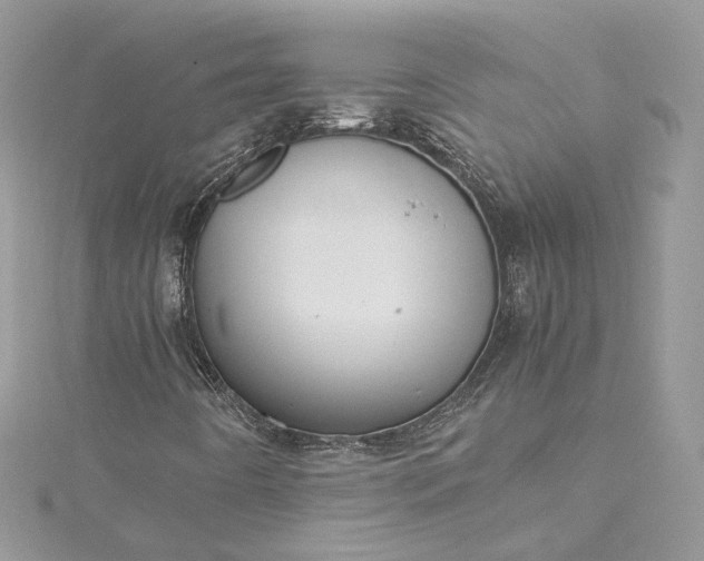 X0000115391442200911171446