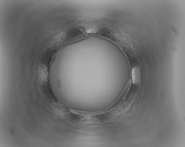 X0000115391443200911171446