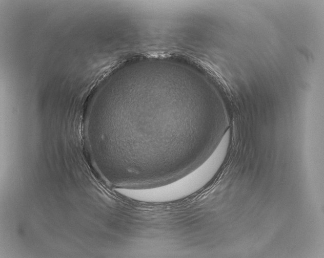 X0000115391444200911171446