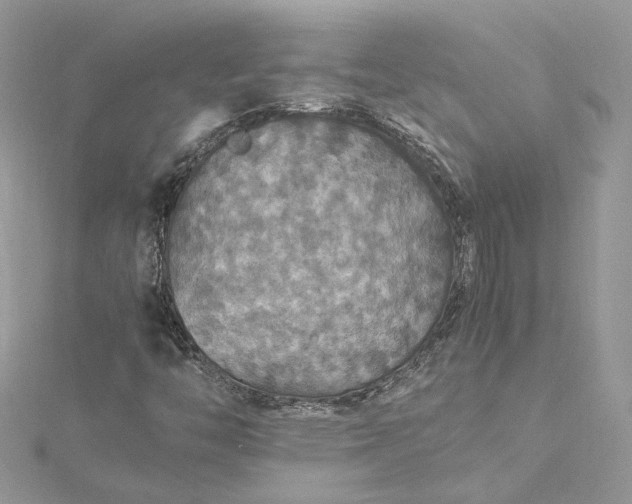 X0000115391446200911171446