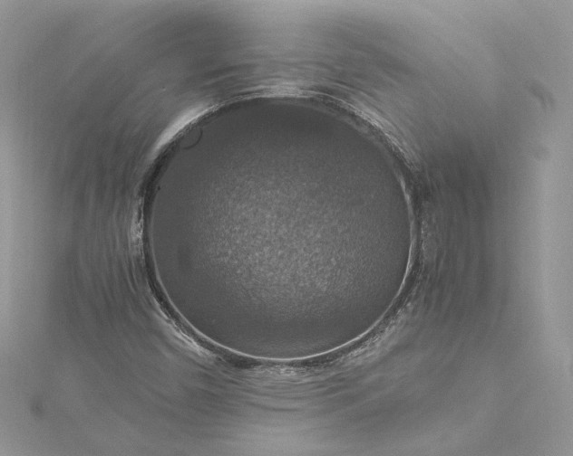 X0000115391450200911171446