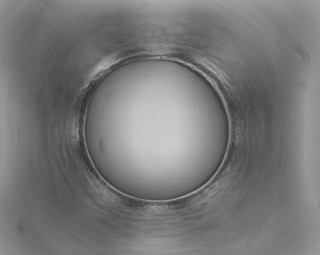 X0000115391451200911171446