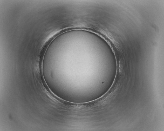 X0000115391452200911171446