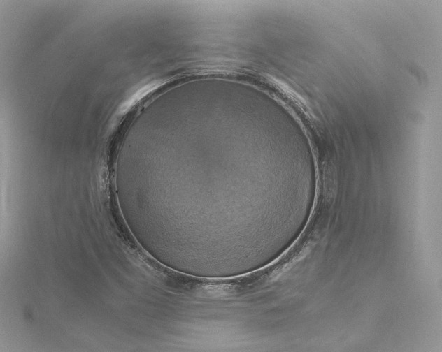 X0000115391453200911171446