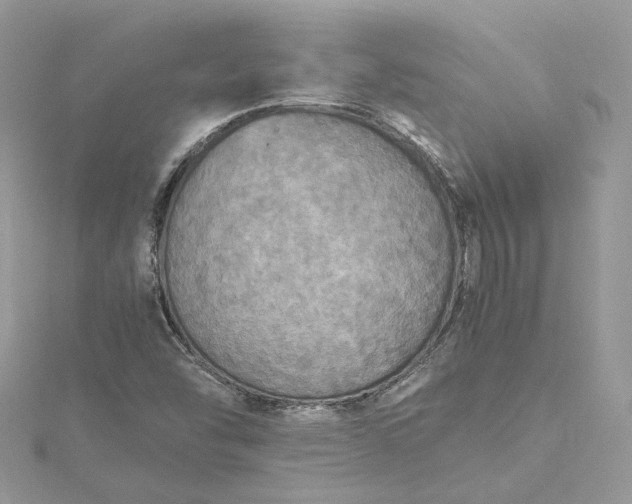 X0000115391454200911171446