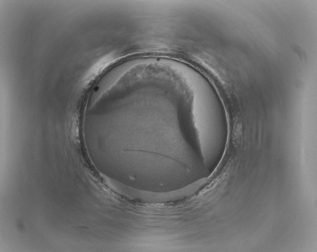 X0000115391455200911171446