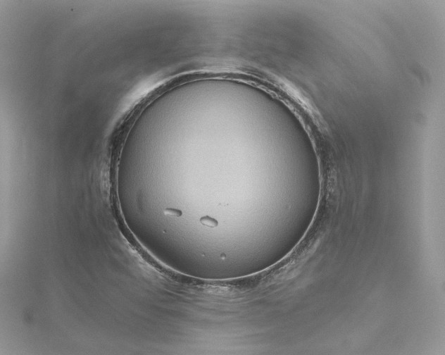 X0000115391456200911171446