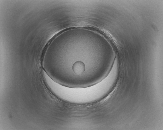 X0000115391457200911171446