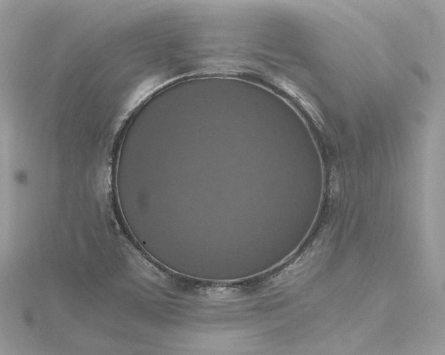 X0000115391459200911171446