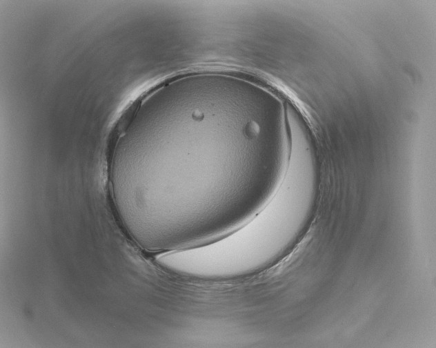 X0000115391461200911171446