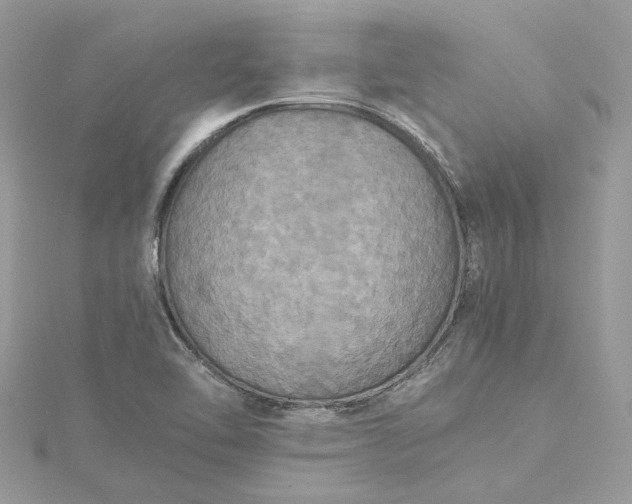 X0000115391462200911171446