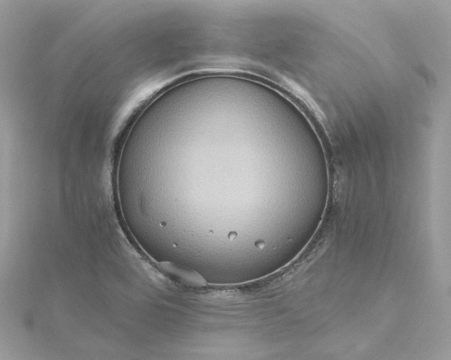 X0000115391464200911171446