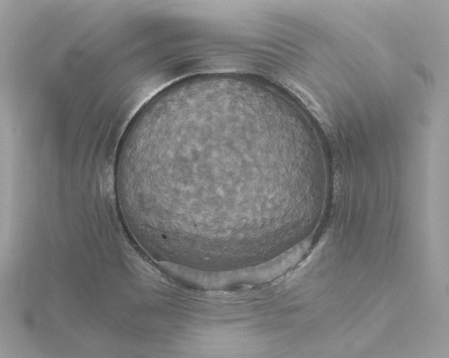 X0000115391465200911171446