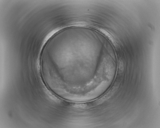 X0000115391466200911171446