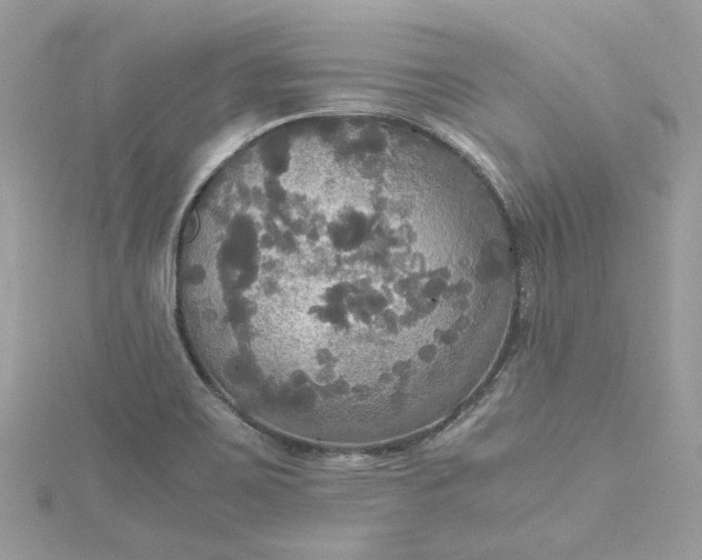 X0000115391467200911171446