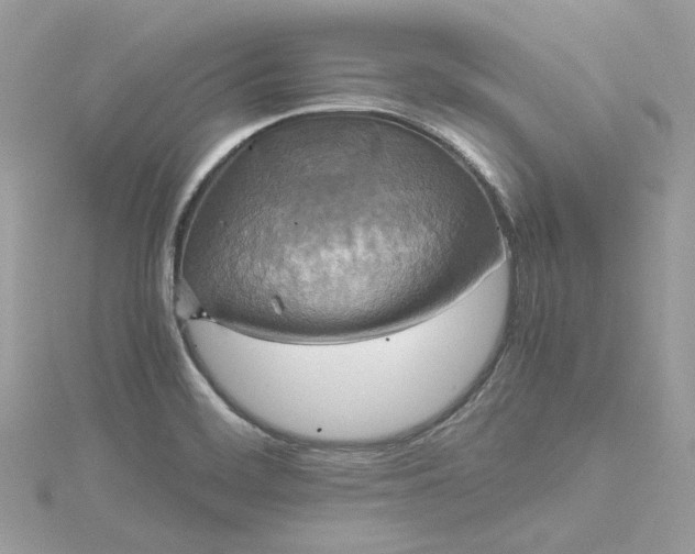 X0000115391468200911171446