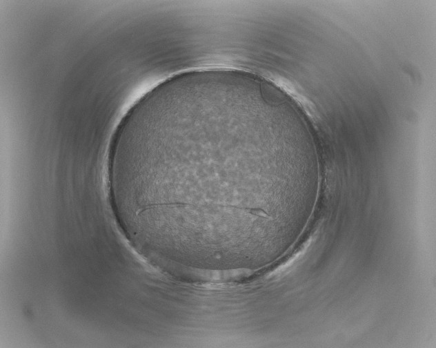 X0000115391469200911171446