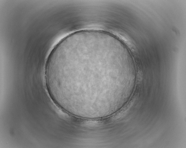 X0000115391470200911171446