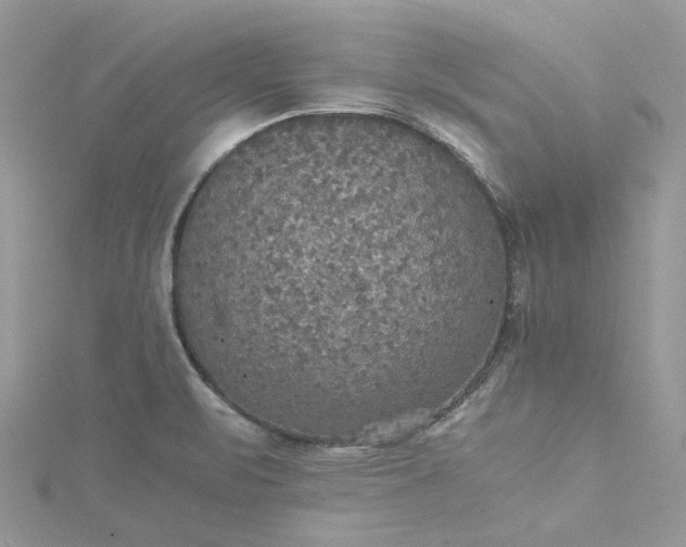 X0000115391471200911171446