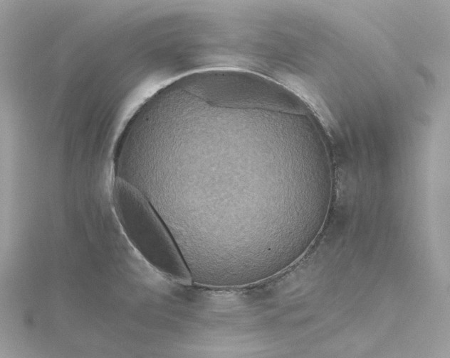 X0000115391472200911171446