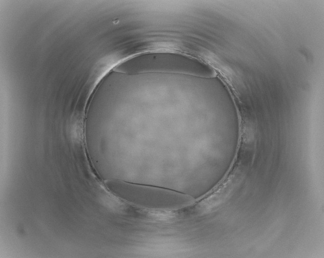 X0000115391473200911171446