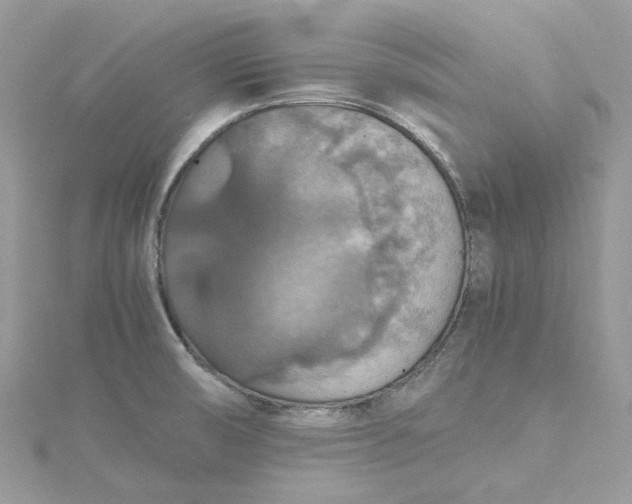 X0000115391474200911171446