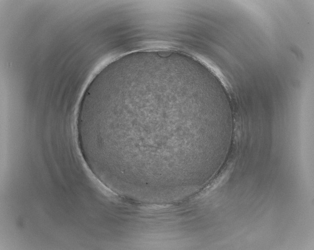 X0000115391475200911171446