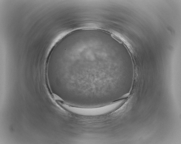 X0000115391477200911171446