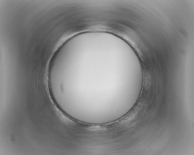 X0000115391478200911171446