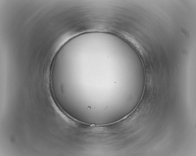 X0000115391479200911171446