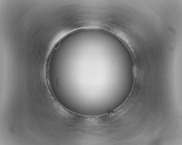 X0000115391480200911171446