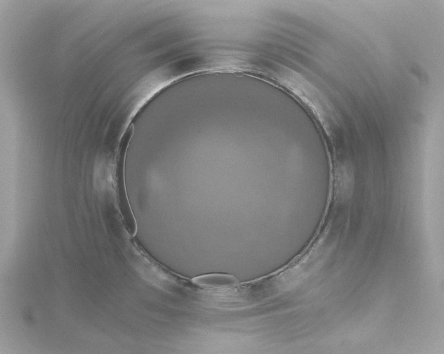 X0000115391481200911171446