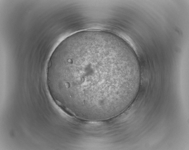 X0000115391483200911171446