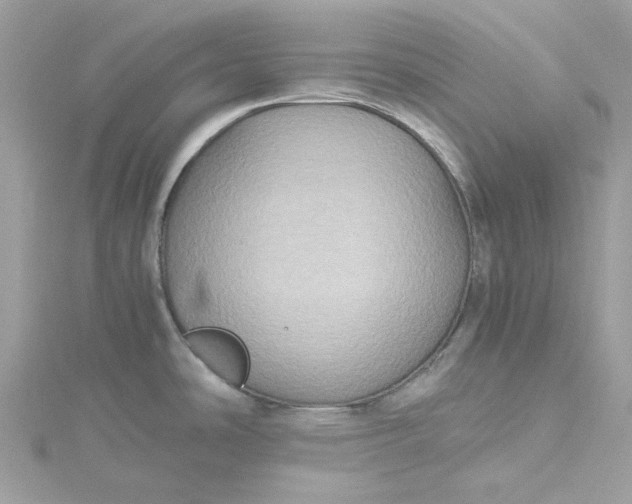 X0000115391486200911171446