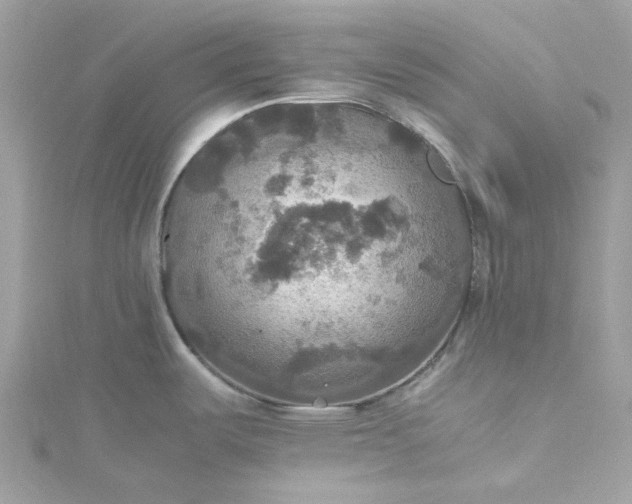 X0000115391487200911171446