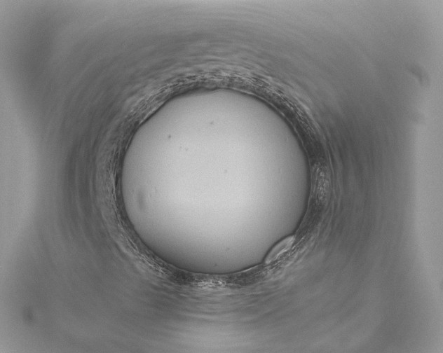 X0000115391489200911171445