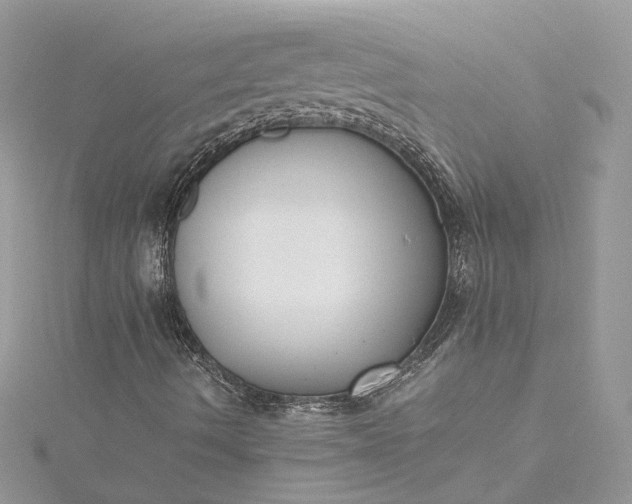 X0000115391490200911171445