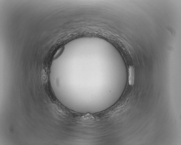 X0000115391491200911171445