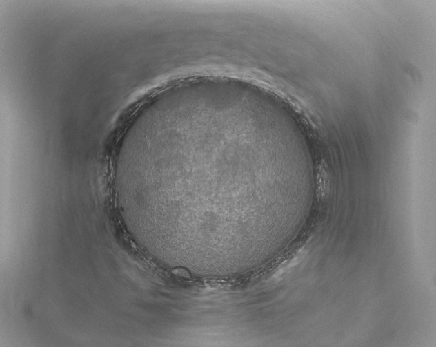 X0000115391494200911171445