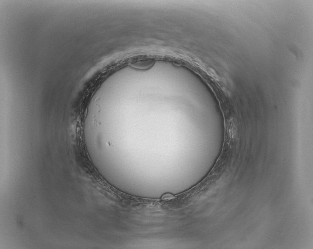 X0000115391495200911171445