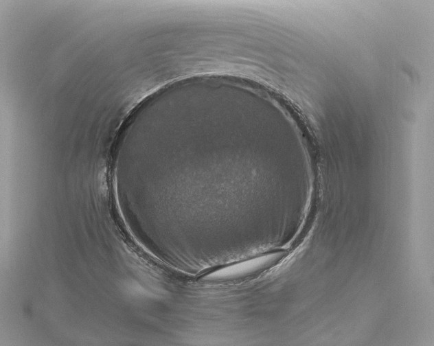 X0000115391497200911171445