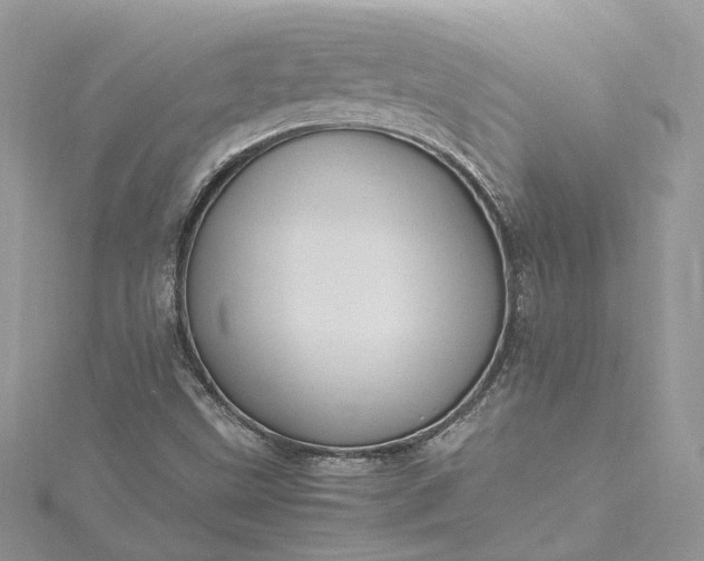 X0000115391499200911171445