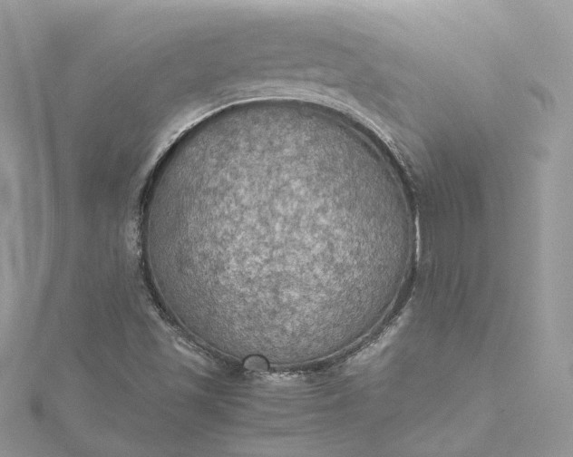 X0000115391501200911171445