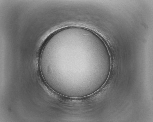 X0000115391503200911171445