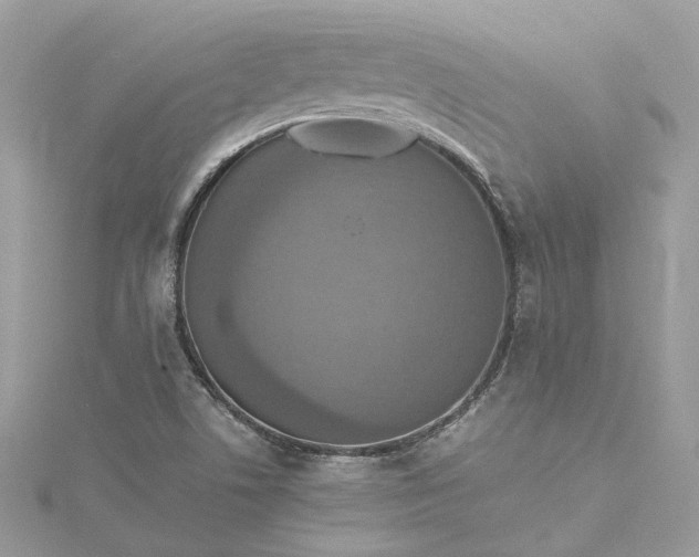 X0000115391506200911171445