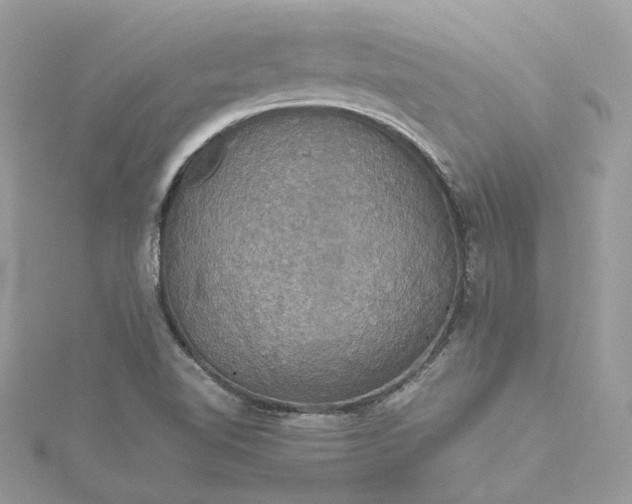 X0000115391510200911171445