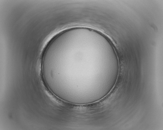 X0000115391511200911171445