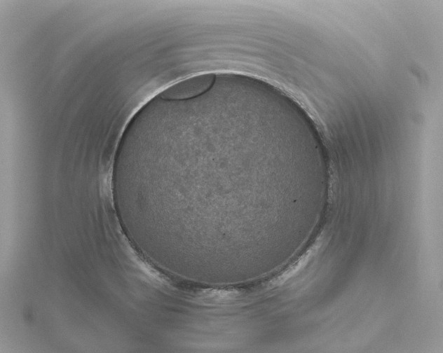 X0000115391513200911171445