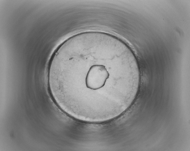 X0000115391514200911171445